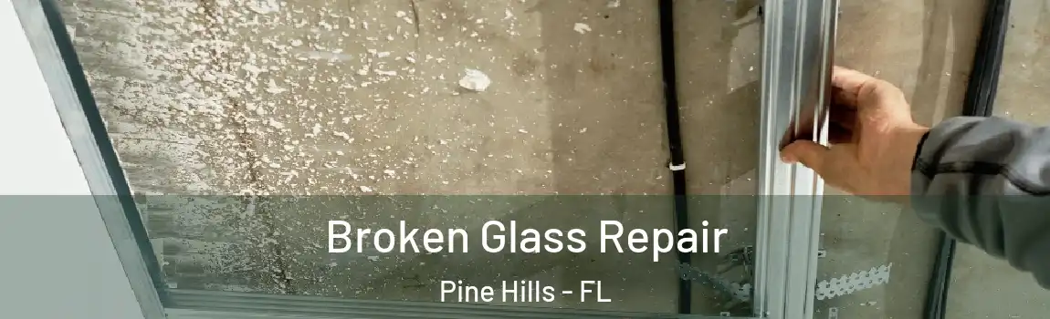  Broken Glass Repair Pine Hills - FL