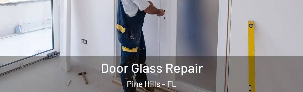  Door Glass Repair Pine Hills - FL