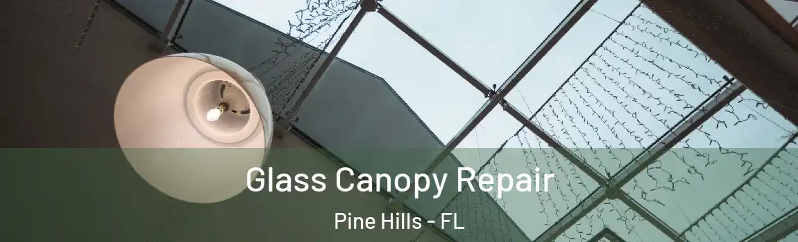  Glass Canopy Repair Pine Hills - FL