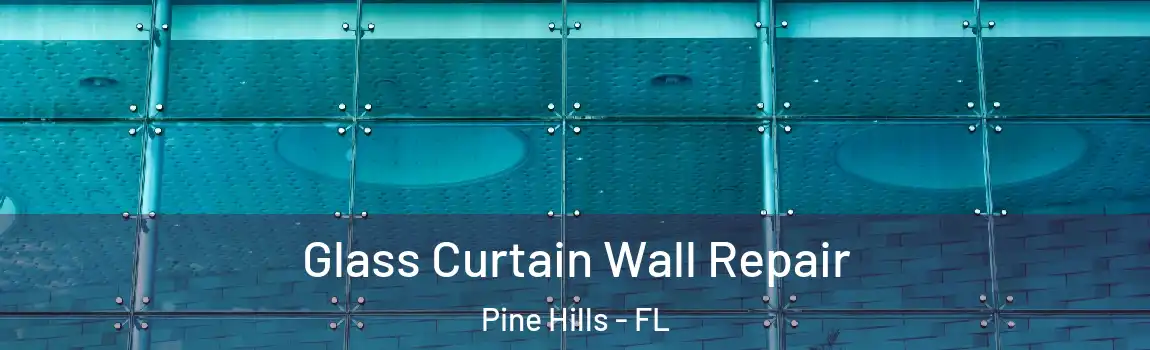  Glass Curtain Wall Repair Pine Hills - FL