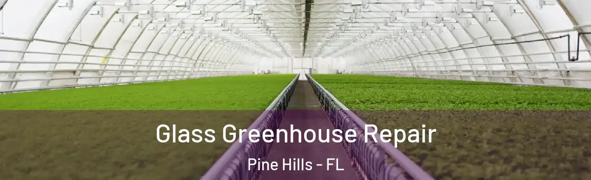  Glass Greenhouse Repair Pine Hills - FL