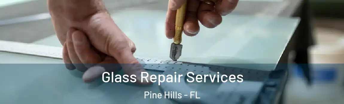 Glass Repair Services Pine Hills - FL