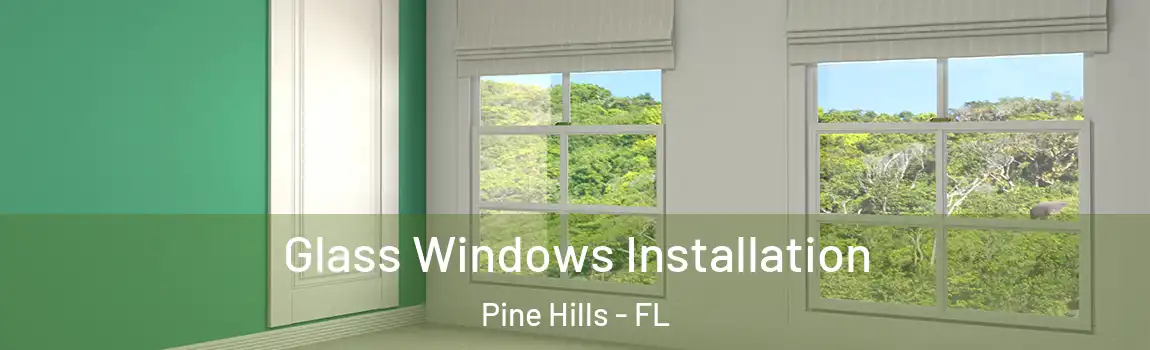  Glass Windows Installation Pine Hills - FL