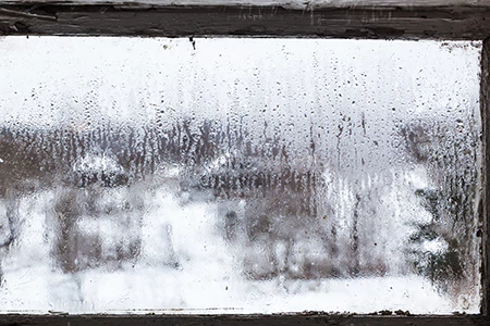 Defogging Double Pane Windows in Pine Hills, FL