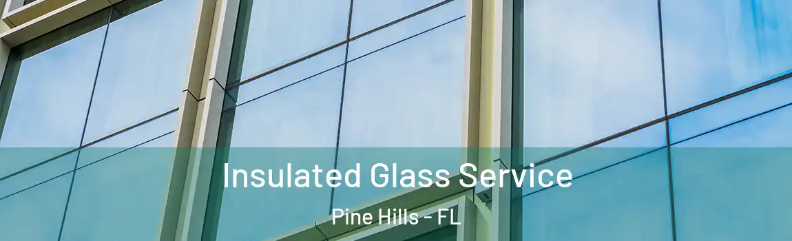  Insulated Glass Service Pine Hills - FL