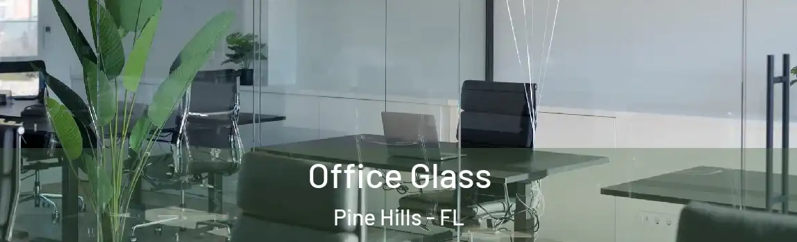  Office Glass Pine Hills - FL