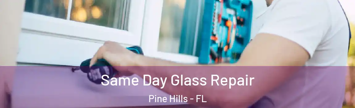  Same Day Glass Repair Pine Hills - FL