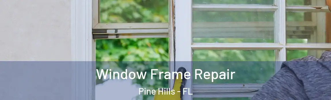  Window Frame Repair Pine Hills - FL