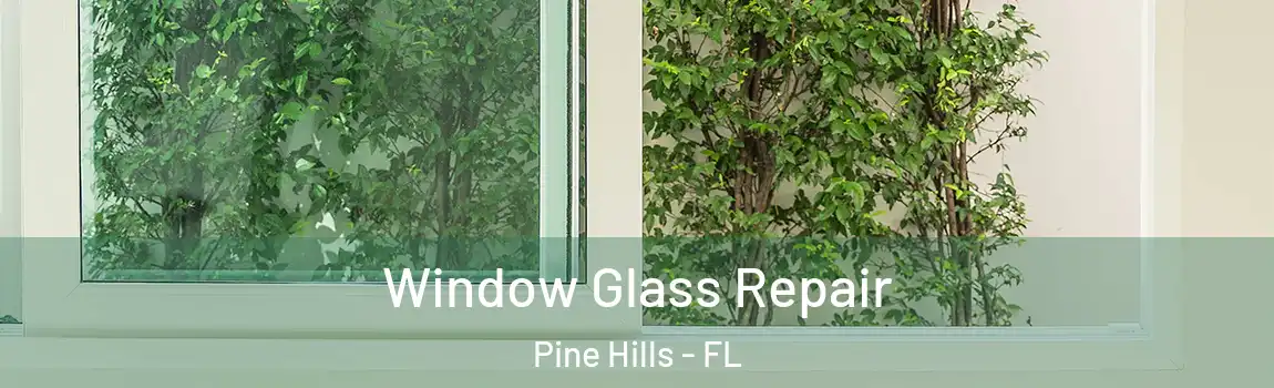  Window Glass Repair Pine Hills - FL