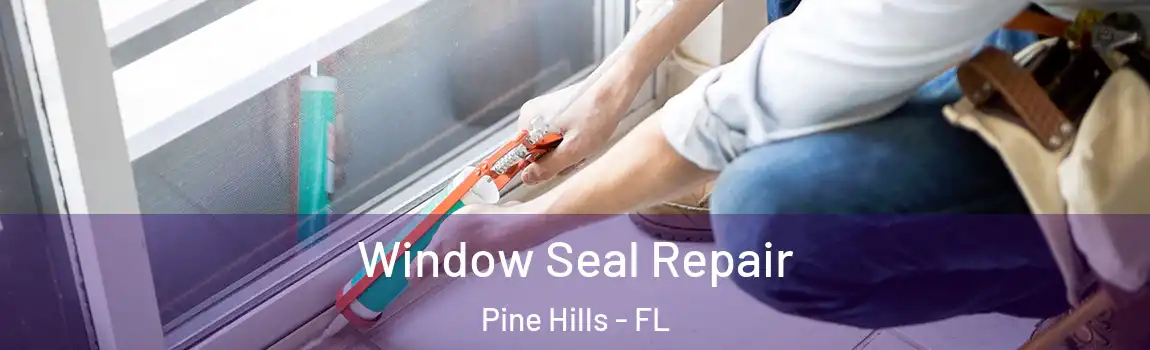  Window Seal Repair Pine Hills - FL